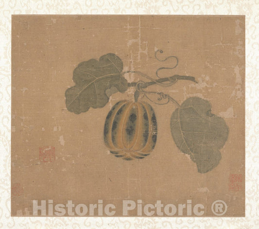 Art Print : Unidentified Artist - Squash - China - Song Dynasty (?) (960–1279) : Vintage Wall Art