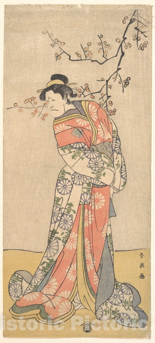 Art Print : Katsukawa Shun'ei - Ichikawa Eibizo (Former Name: Danjuro V) in The Role of Iwafuji - Japan : Vintage Wall Art