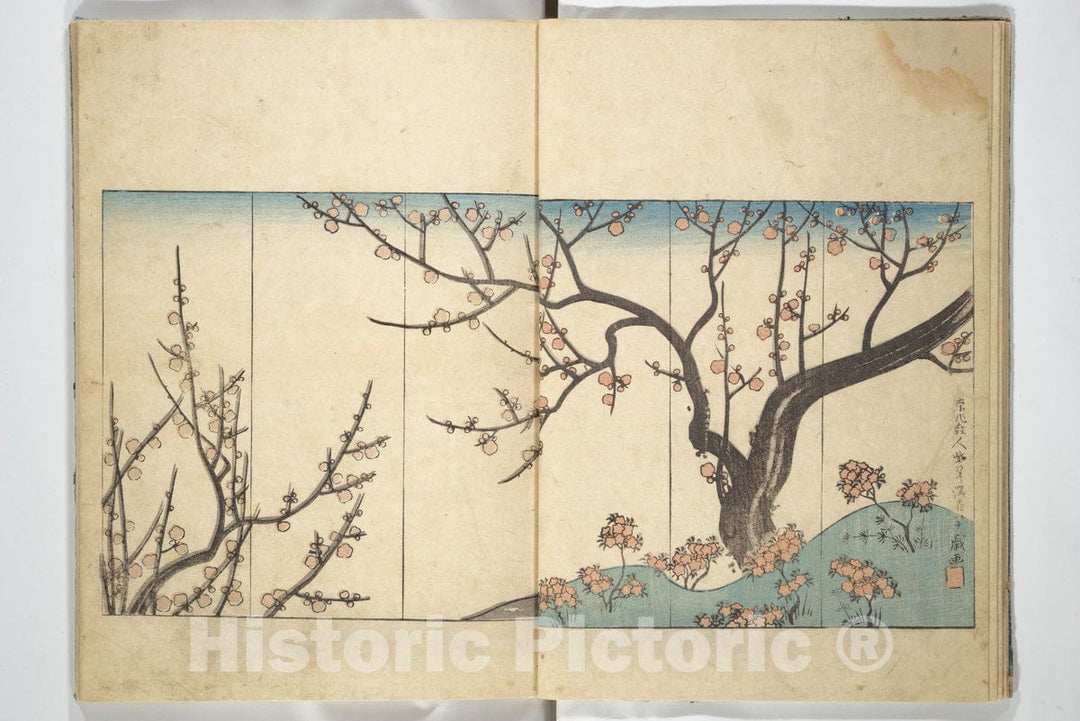 Art Print : Traces of Kenzan's Brush : Vintage Wall Art