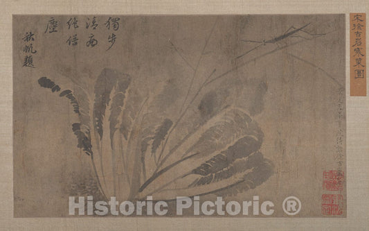 Art Print : Xü Daoguang - Cabbage and Insects - China - Qing Dynasty (?) (1644–1911) : Vintage Wall Art