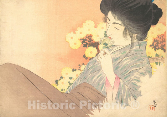 Art Print : Kajita Hanko - White Chrysanthemums (kiku no Kaori - Japan : Vintage Wall Art