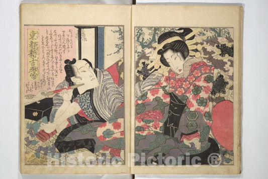 Art Print : Keisai Eisen - A Modern Day Clear Mirror (Masukagami) - Japan : Vintage Wall Art