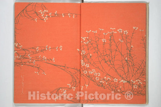 Art Print : Ogino Issui - ?y? Sketchbook (?y? Manga) - Japan : Vintage Wall Art