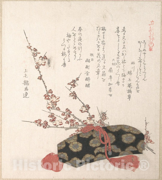Art Print : Kubo Shunman - Letter-Box and Plum Blossoms - Japan : Vintage Wall Art