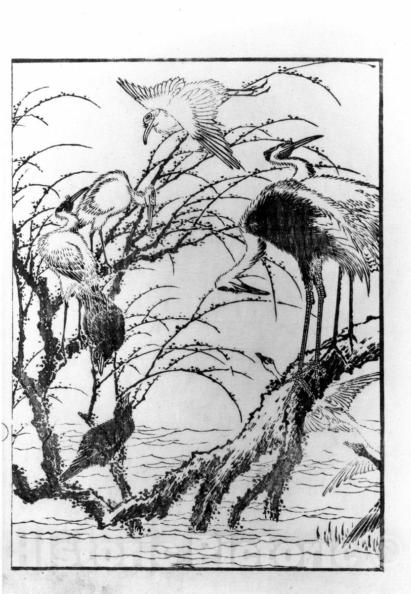 Art Print : Katsushika Hokusai - Examples of Hokusai's Drawing Japan : Vintage Wall Art