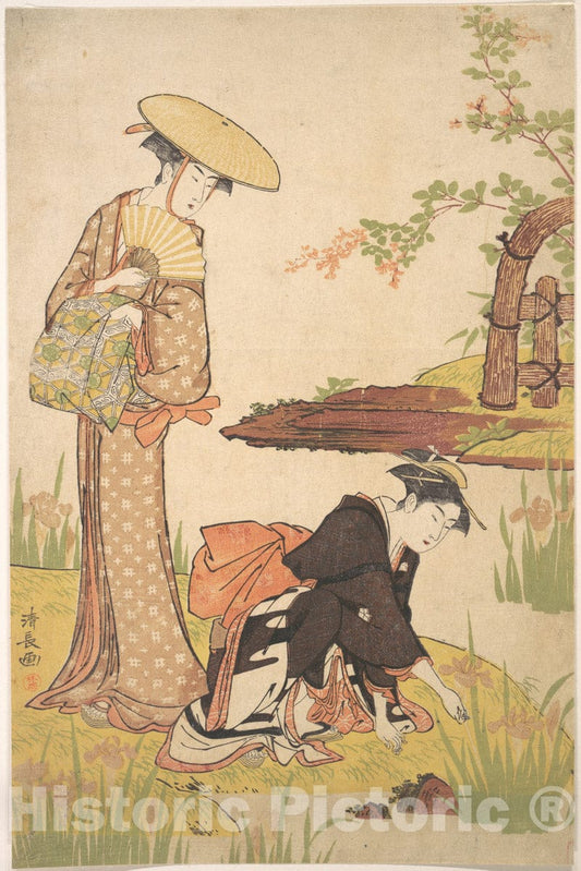 Art Print : Torii Kiyonaga - The Iris Garden - Japan : Vintage Wall Art
