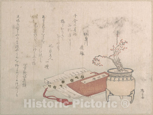 Art Print : Ry?ry?kyo Shinsai - Potted Plum Tree in Blossom and Books - Japan : Vintage Wall Art