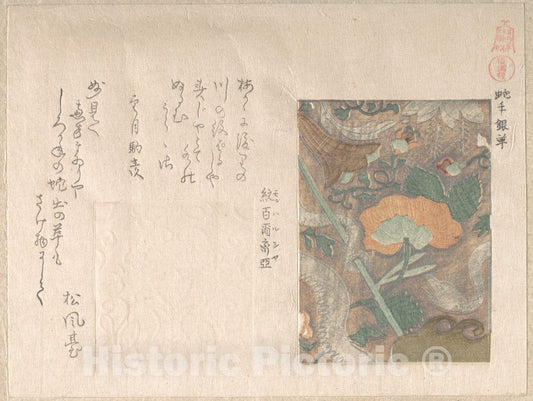 Art Print : Kubo Shunman - Designs of Imported Leathers - Japan : Vintage Wall Art