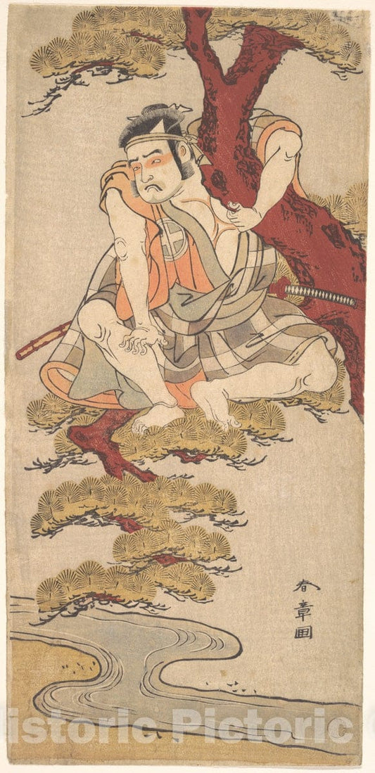Art Print : Katsukawa Shunsho  - Watching from the Branches of a Pine Tree Overhanging a Stream  : Vintage Wall Art