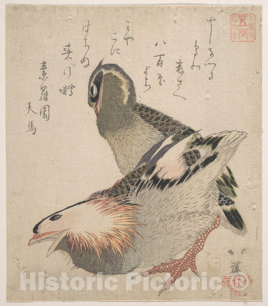 Art Print : Totoya Hokkei - Two Birds - Japan : Vintage Wall Art