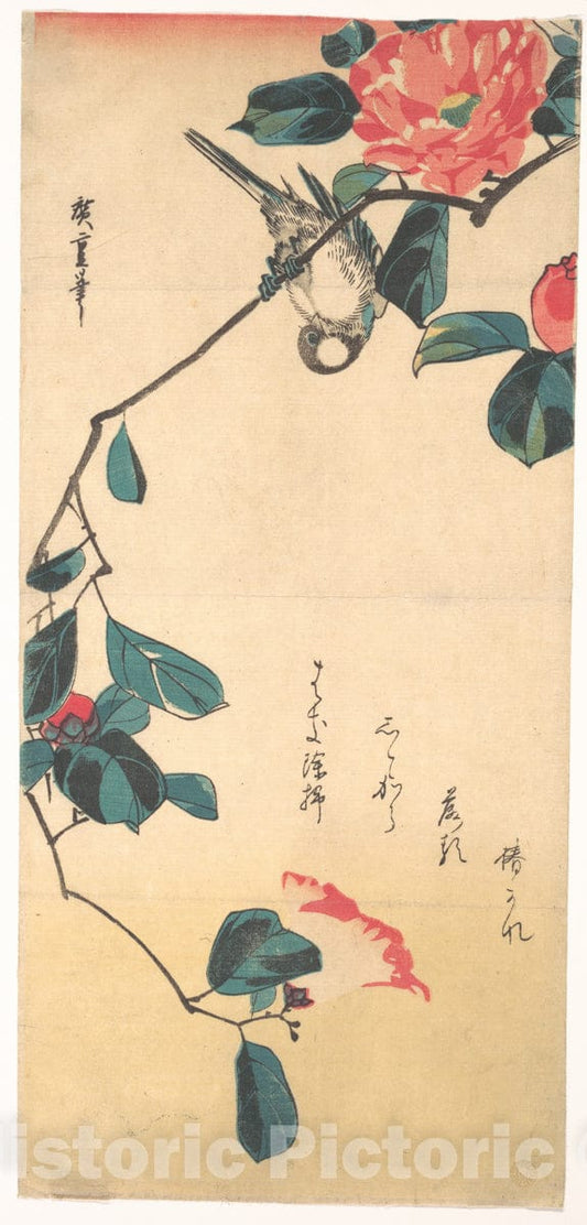 Art Print : Utagawa Hiroshige - Camellia and Bullfinch - Japan : Vintage Wall Art