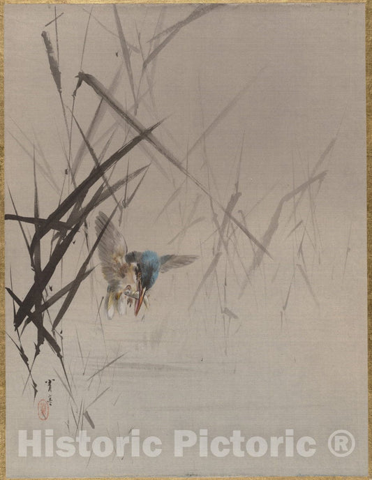 Art Print : Watanabe Seitei - Bird Catching Fish Among Reeds - Japan : Vintage Wall Art