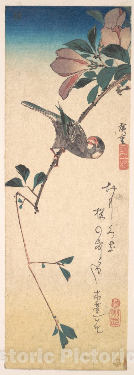Art Print : Utagawa Hiroshige - Purple Magnolia and Hornbill : Vintage Wall Art