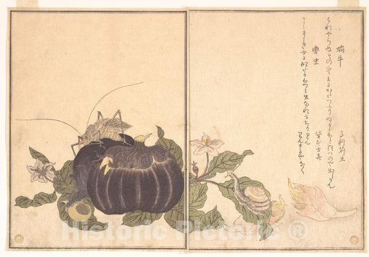 Art Print : Land Snail