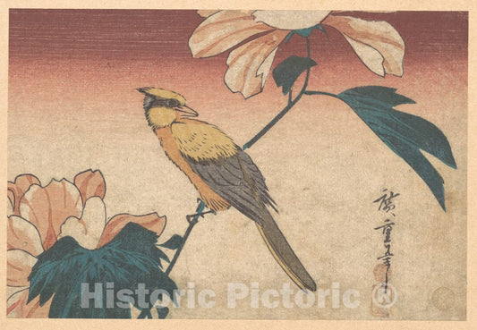 Art Print : Utagawa Hiroshige - Hibiscus Mutabilis and Jay - Japan : Vintage Wall Art