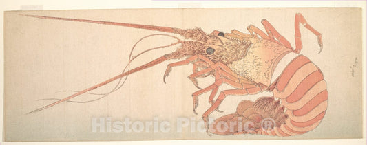 Art Print : Katsushika Hokusai - Large Lobster - Japan : Vintage Wall Art