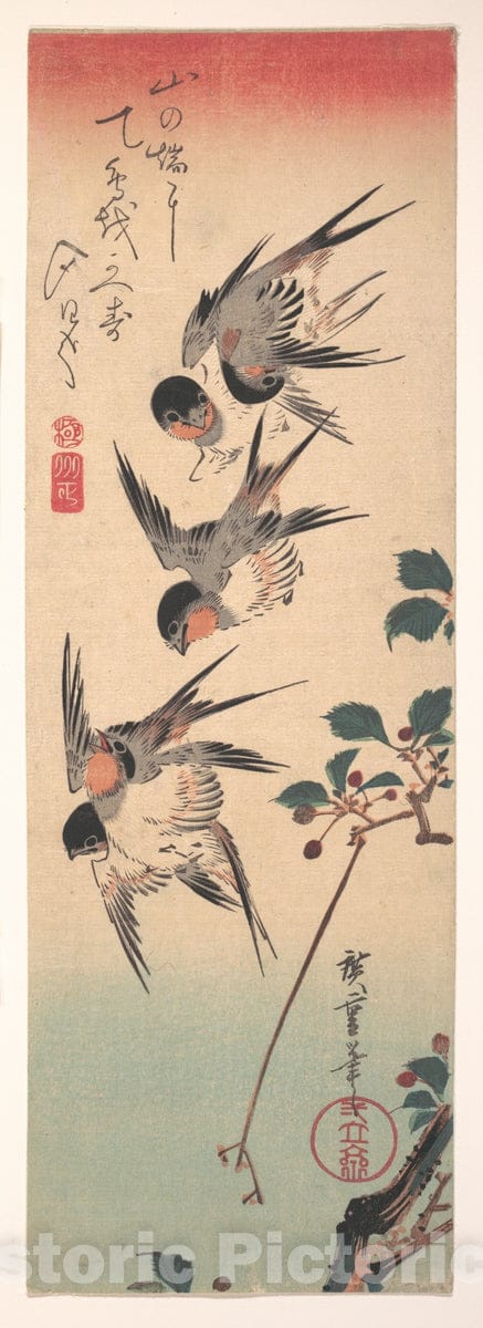 Art Print : Utagawa Hiroshige - Swallows and Budding Wild Cherry : Vintage Wall Art