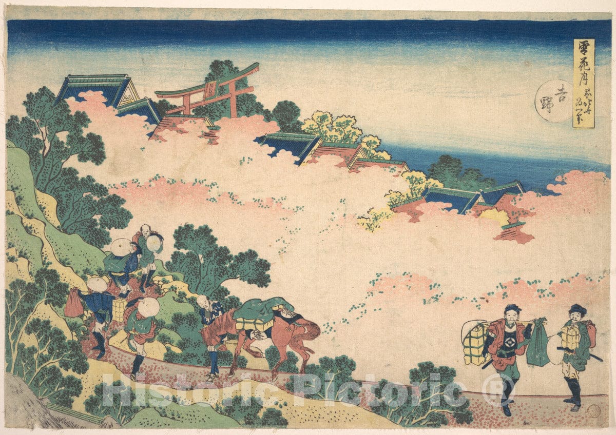 Art Print : Katsushika Hokusai - Cherry Blossoms at Yoshino (Yoshino), from The Series Snow, Moon, and Flowers (Setsugekka) - Japan v.2 : Vintage Wall Art