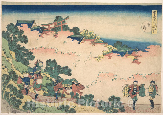 Art Print : Katsushika Hokusai - Cherry Blossoms at Yoshino (Yoshino), from The Series Snow, Moon, and Flowers (Setsugekka) - Japan v.2 : Vintage Wall Art