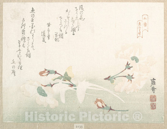 Art Print : Yosai - Cherry Flowers - Japan : Vintage Wall Art