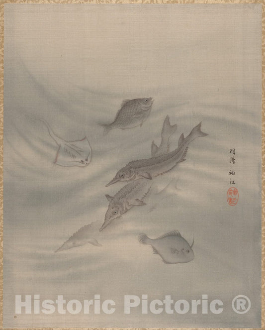 Art Print : Seki Sh?k? - Fishes - Japan 1 : Vintage Wall Art