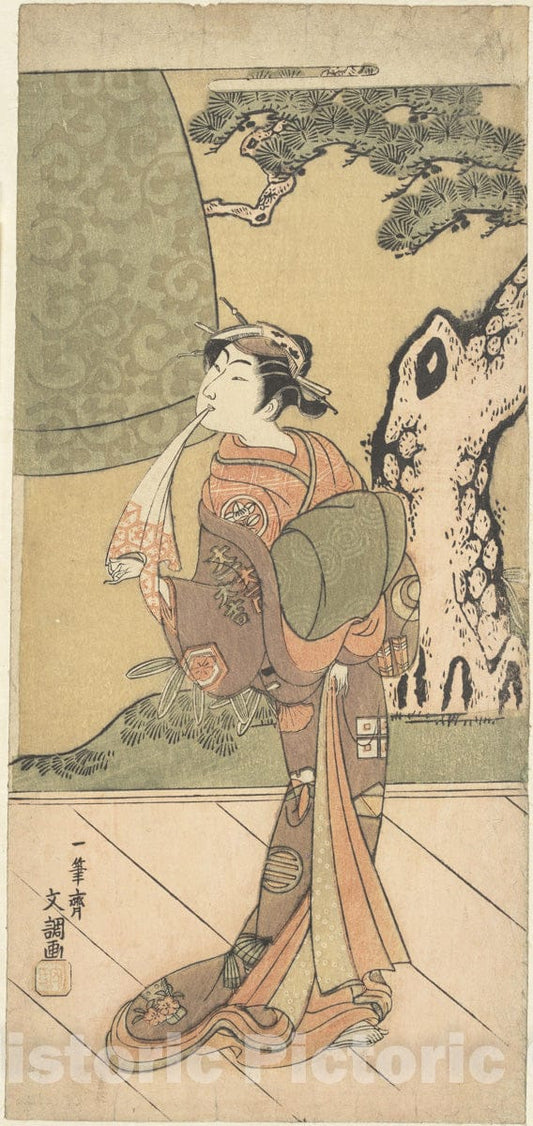 Art Print : Ippitsusai Bunch? - Ichimura Uzaemon IX in The Role of Kiyohime in Musume D?j?ji (The Girl of D?j?ji) - Japan : Vintage Wall Art