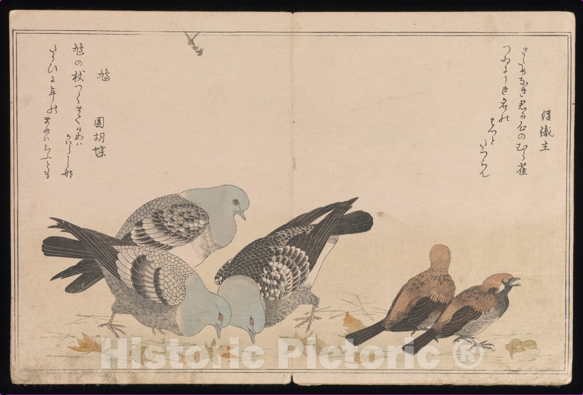 Art Print : Kitagawa Utamaro - Myriad Birds:A Playful Poetry Contest (Momo chidori ky?ka-awase), 2 Vols. - Japan : Vintage Wall Art