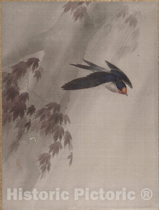 Art Print : Okada Baison - A Swallow in The Rain - Japan : Vintage Wall Art