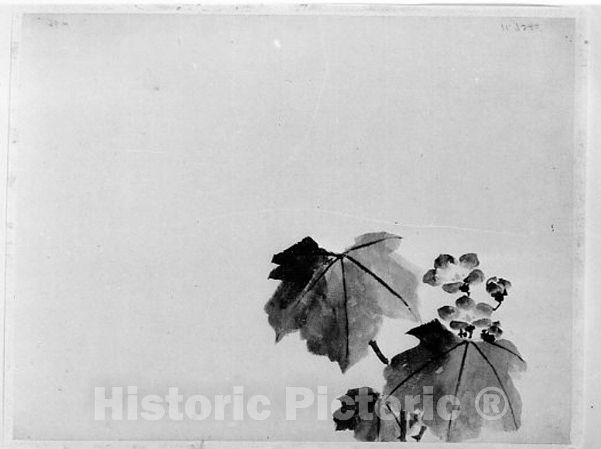 Art Print : Hokusai School - Bellflower - Japan v.2 : Vintage Wall Art