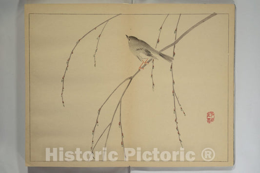 Art Print : Nishiyama Ken - Kan'ei Picture Album (Kan'ei gafu) - Japan : Vintage Wall Art