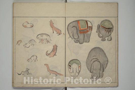 Art Print : Kuwagata Keisai - How to Draw Birds, Insects and Fish Simply (Ch?j? ryakugashiki) - Japan : Vintage Wall Art