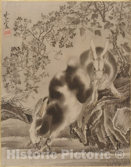 Art Print : Kawanabe Ky?sai - Rabbits - Japan : Vintage Wall Art