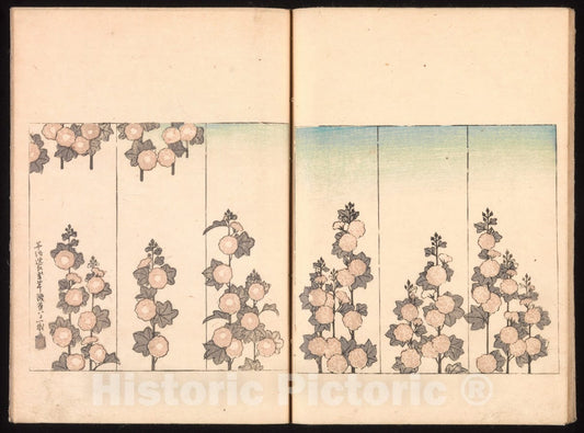 Art Print : Sakai H?itsu - Ink Traces of Kenzan (Kenzan iboku) - Japan v.1 : Vintage Wall Art