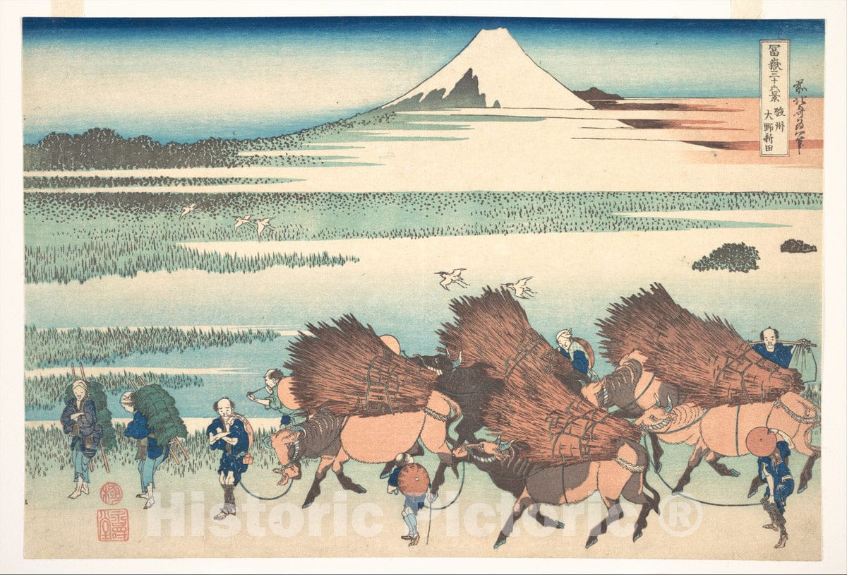 Art Print : The New Fields at ONO in Suruga Province - Artist: Katsushika Hokusai - Created: c1830 1 : Vintage Wall Art
