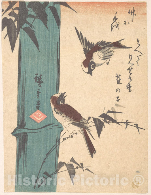 Art Print : Utagawa Hiroshige - Bamboo and Sparrows - Japan : Vintage Wall Art