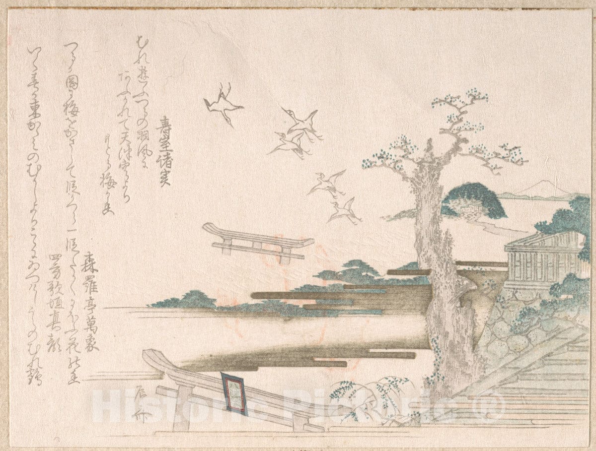 Art Print : Ry?ry?kyo Shinsai - Spring Rain Collection (Harusame sh?), vol. 2: Cranes at Tsurugaoka Hachimang? Shrine in Kamakura - Japan : Vintage Wall Art