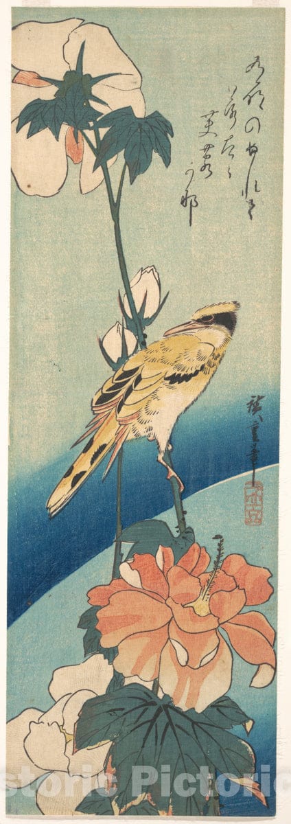 Art Print : Utagawa Hiroshige - A Black-Naped Oriole on a Stem of Rose Mallow : Vintage Wall Art