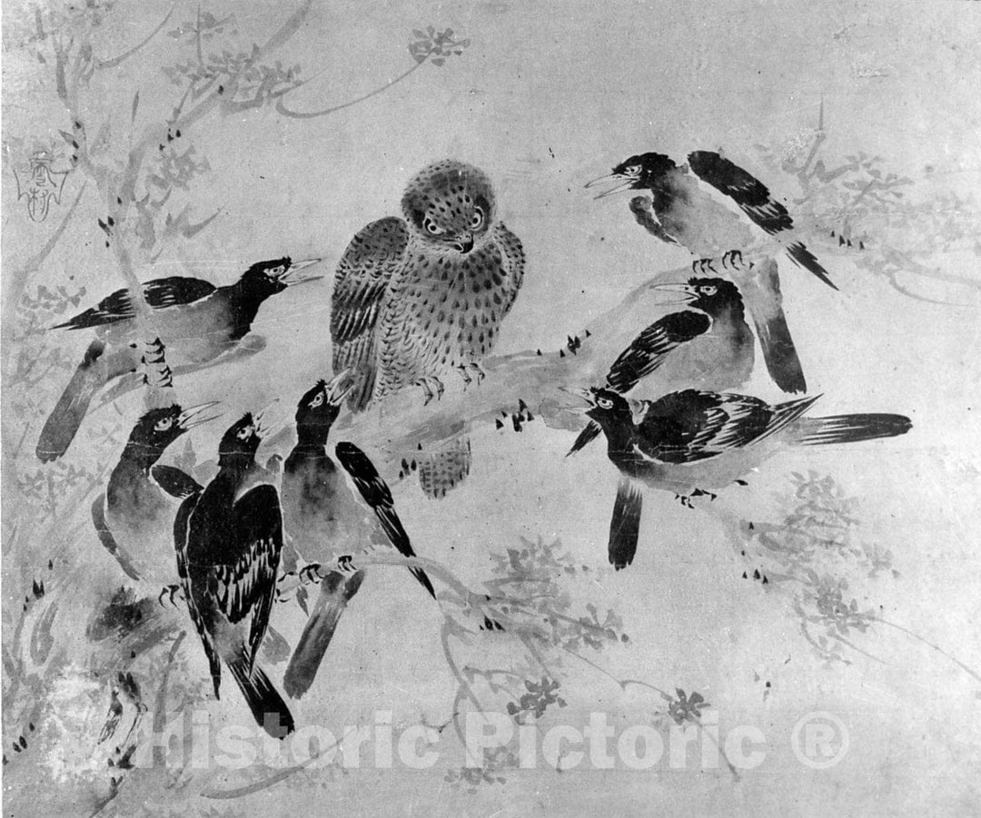 Art Print : After Sesson Sh?kei - Mynah Birds Attacking a Crow - Japan : Vintage Wall Art