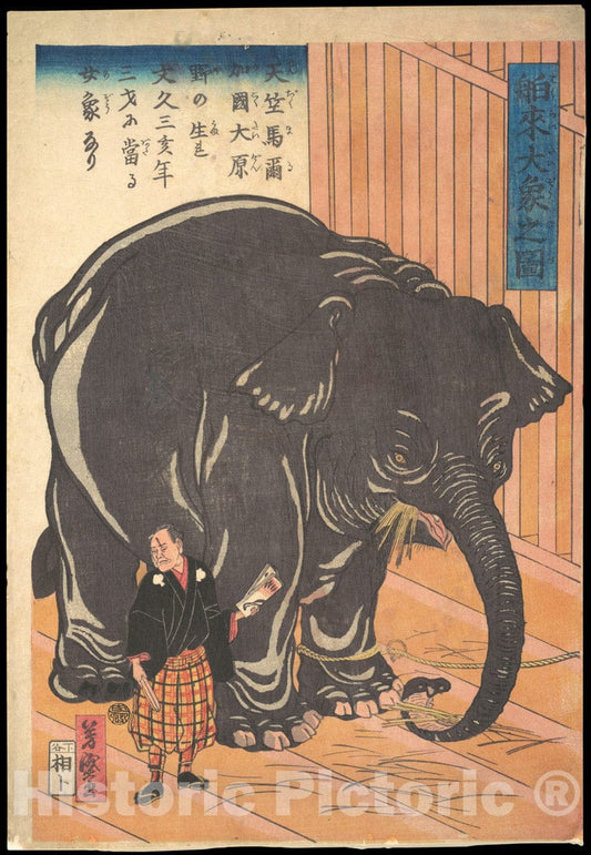 Art Print : Taguchi (Utagawa) Yoshimori - View of The Large Imported Elephant - Japan : Vintage Wall Art