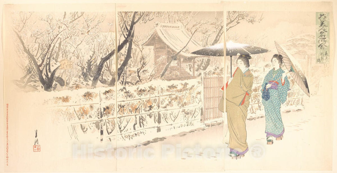 Art Print : The ‘Crouching Dragon’ Plum Tree at Kameido” from The Series an Array of Flowers, Beauties, and Famous Places - Artist: Ogata Gekk? - 1895 : Vintage Wall Art