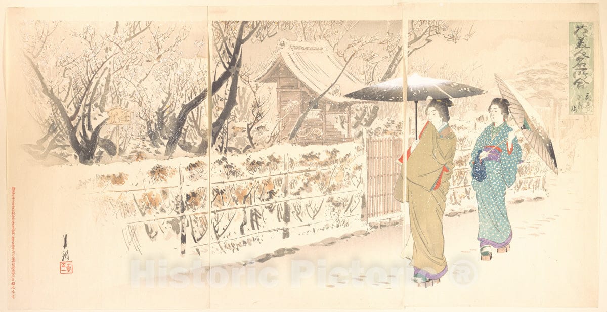 Art Print : The ‘Crouching Dragon’ Plum Tree at Kameido” from The Series an Array of Flowers, Beauties, and Famous Places - Artist: Ogata Gekk? - 1895 : Vintage Wall Art