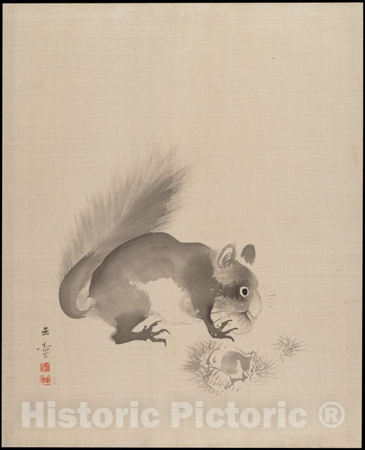 Art Print : Kawabata Gyokush? - Squirrel Eating Chestnuts - Japan : Vintage Wall Art