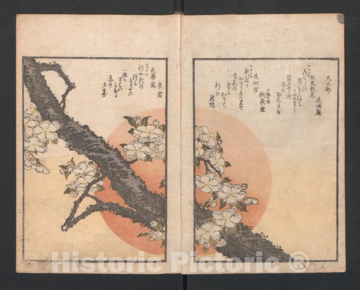 Art Print : Totoya Hokkei - One Hundred Comic Poems of The Flower, One of The Three Friends, Tsuki, The Moon, Yuki, The Snow, and Hana, The Flower - Japan : Vintage Wall Art