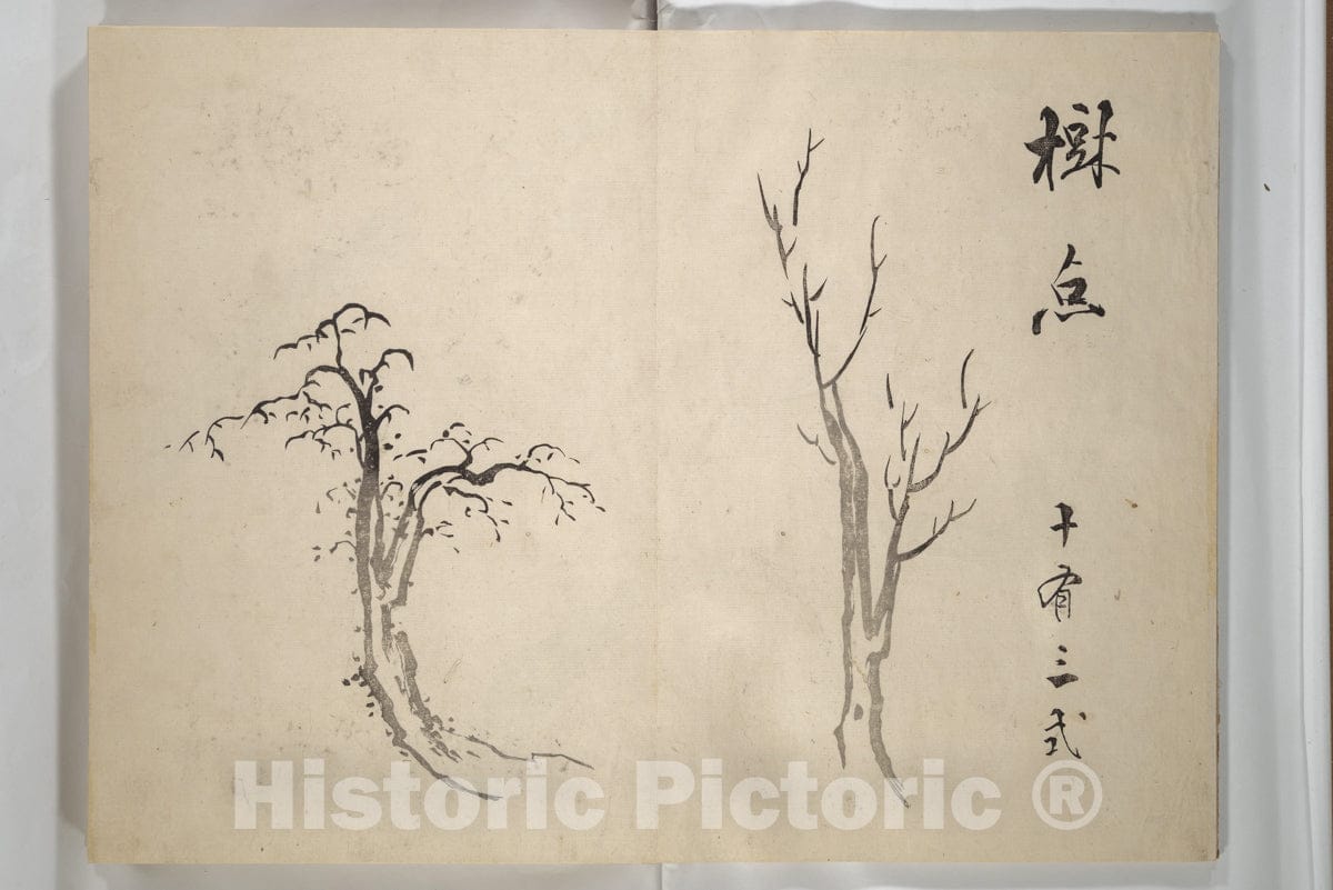 Art Print : IKE Taiga - Taigad? (Taiga Hall at S?rinji Temple) Picture Album (Taigad? gafu) - Japan : Vintage Wall Art