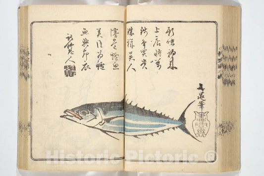 Art Print : Kuwagata Keisai  - Handbook of Fashionable Cuisine for the Epicures of Edo : Vintage Wall Art