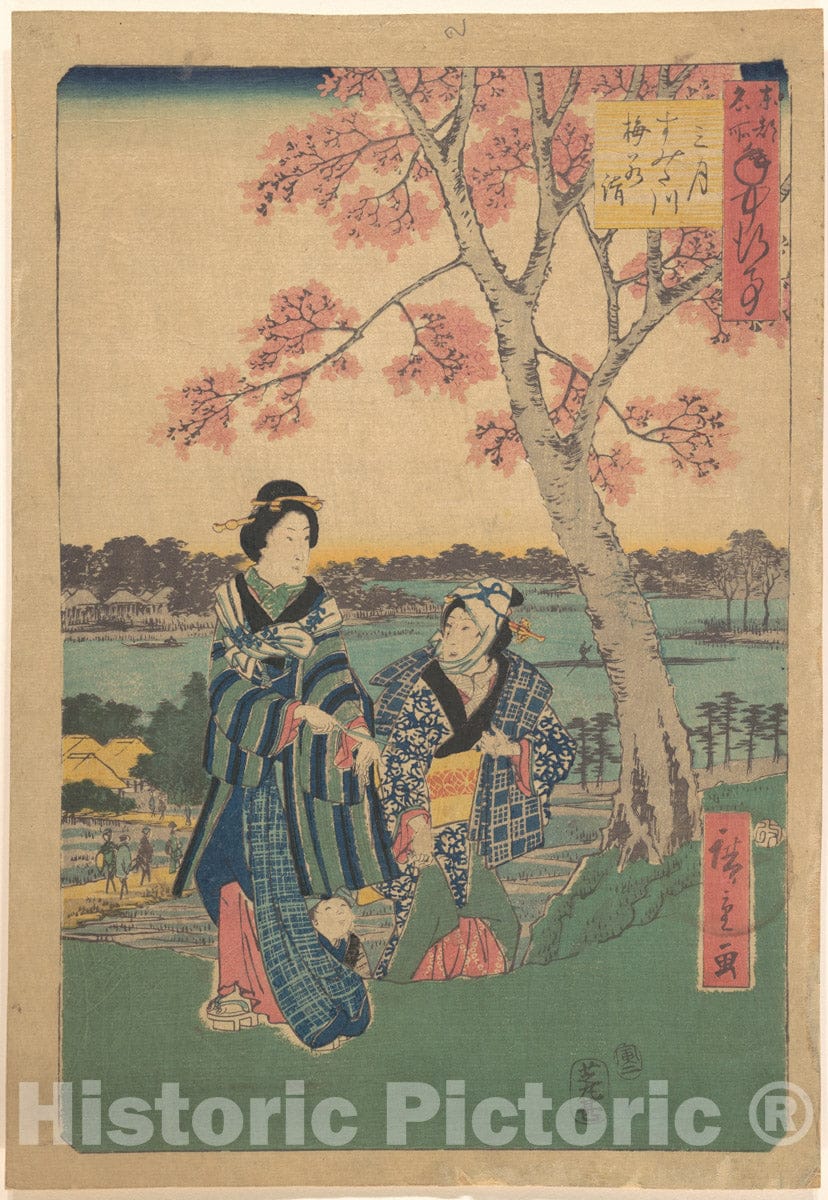 Art Print : 1854 Art Print - Artist: Utagawa Hiroshige : Vintage Wall Art