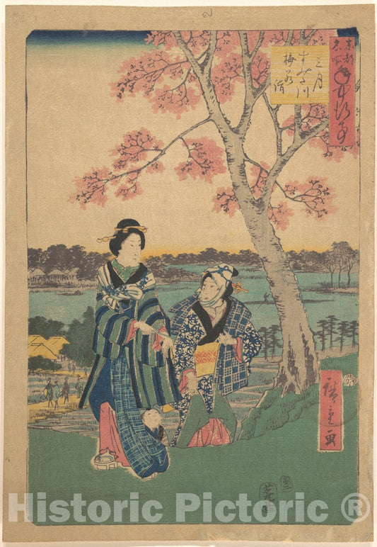 Art Print : 1854 Art Print - Artist: Utagawa Hiroshige : Vintage Wall Art