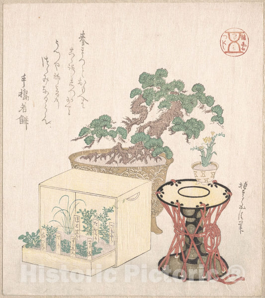 Art Print : Sunayama Gosei - Potted Pine Tree Drum and Seven Herbs Planted in a Box - Japan : Vintage Wall Art