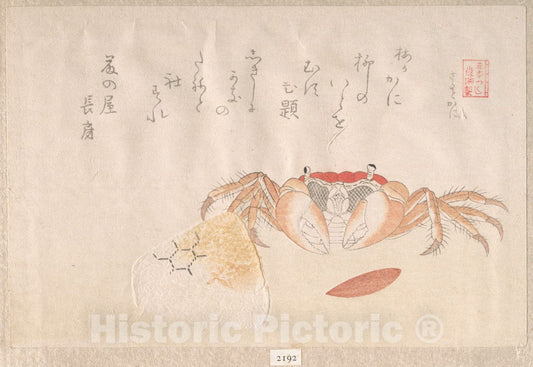 Art Print : Kubo Shunman - Crab, Baked Rice-Ball and Seed of Persimmon - Japan : Vintage Wall Art