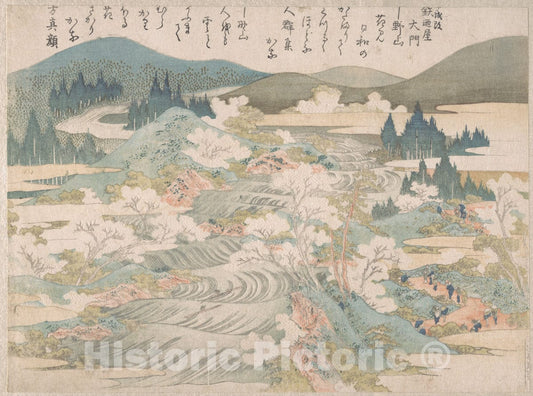 Art Print : Katsushika Hokusai - Flowering Cherry Trees Along The Yoshino River - Japan : Vintage Wall Art